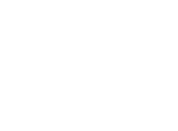ARK Packaging Industries LLC